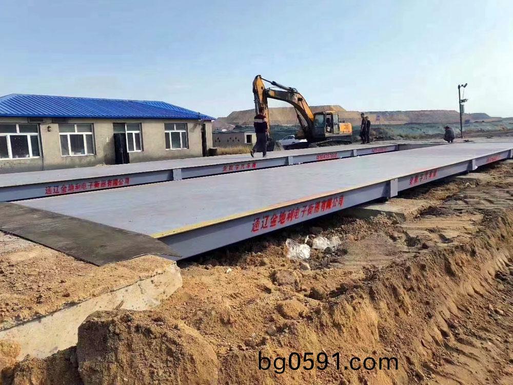 定(ding)製汽(qi)車衡